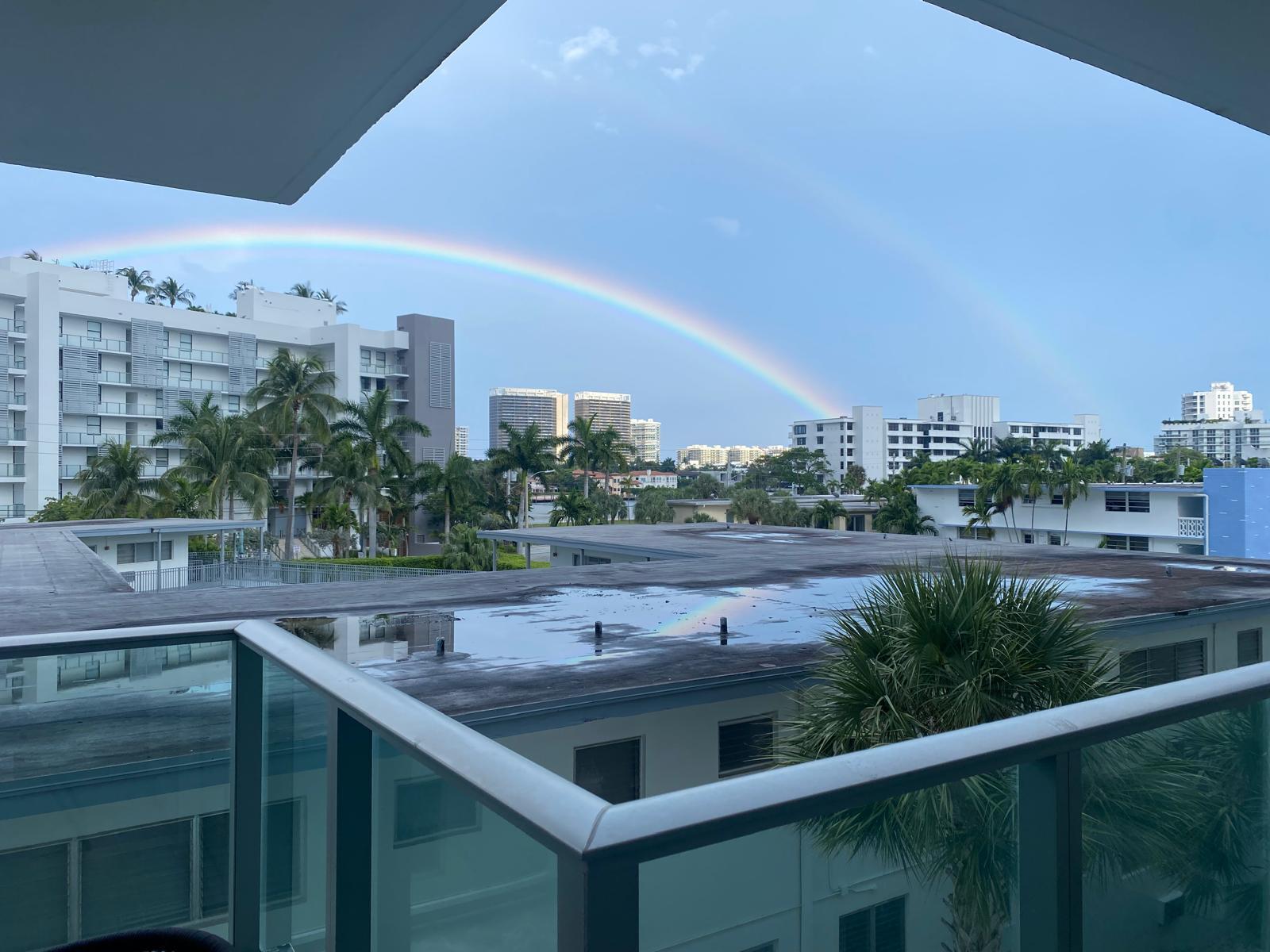 THE PALMS CONDO - Residential