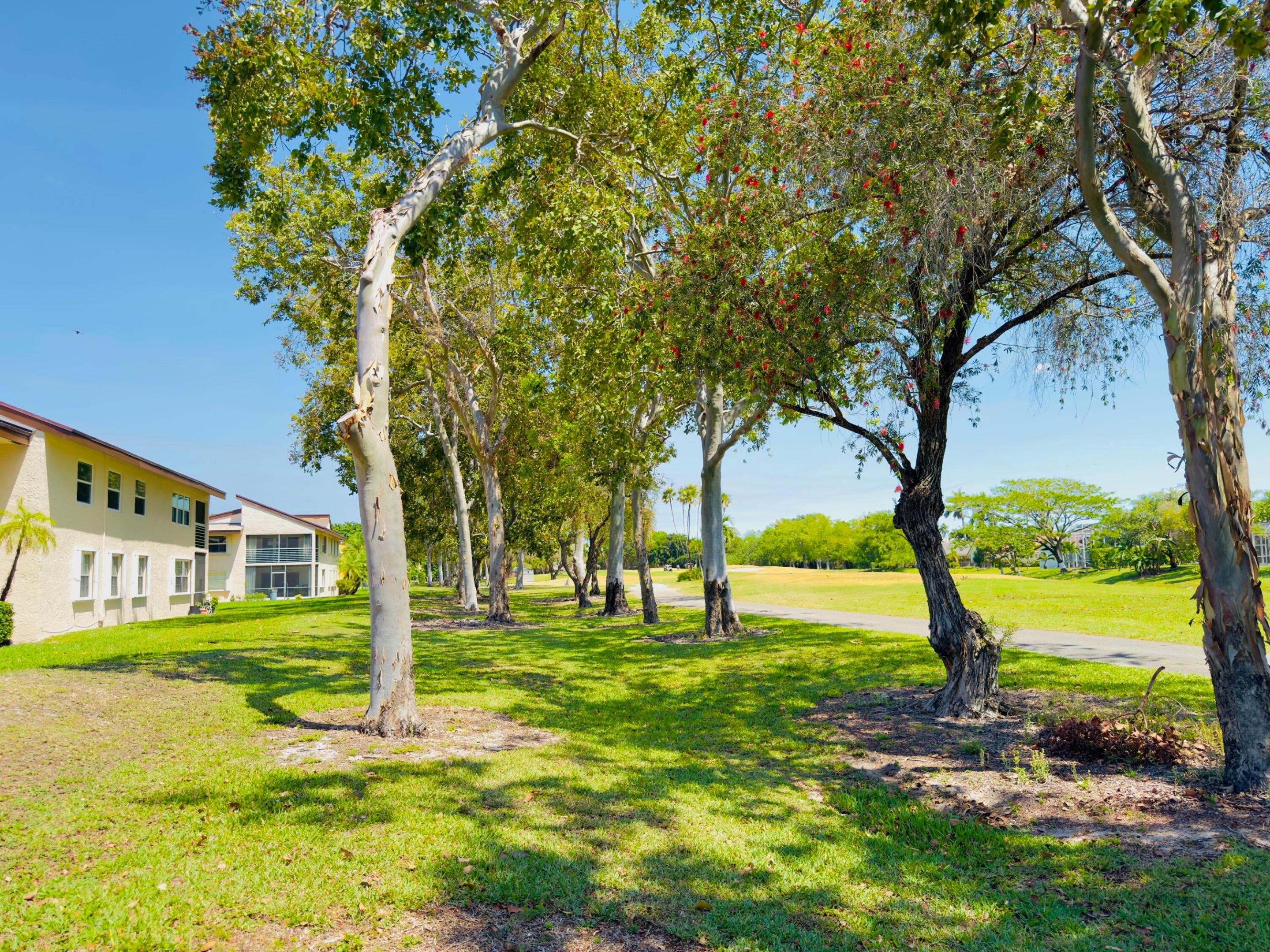 CYPRESS AT WOODMONT II - Residential