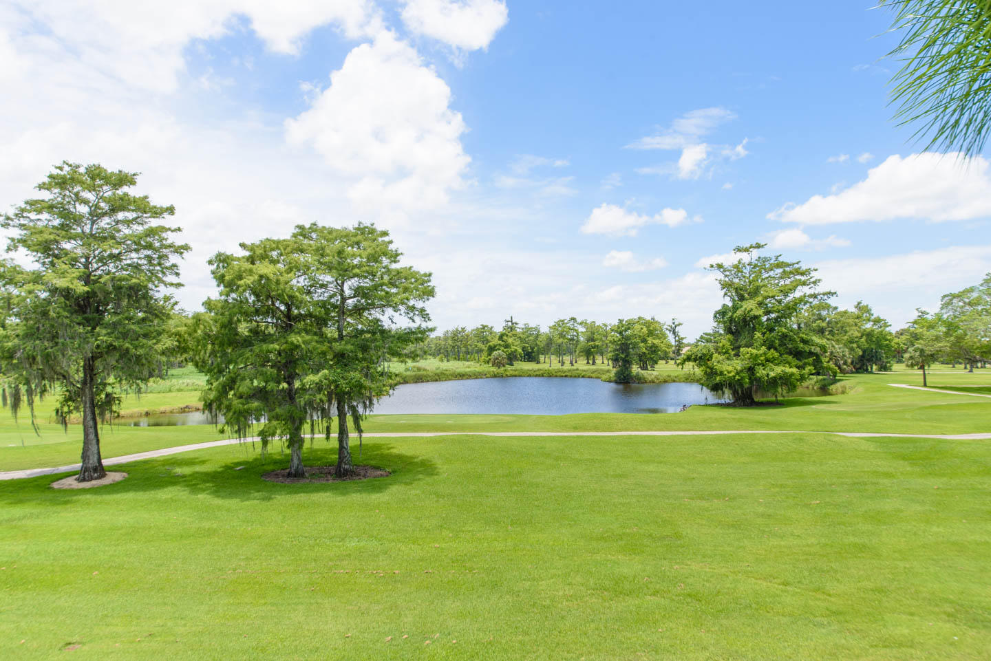 Blue Cypress - Residential