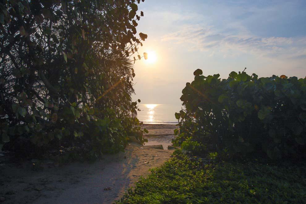 GULFSTREAM OCEAN TRS - Residential