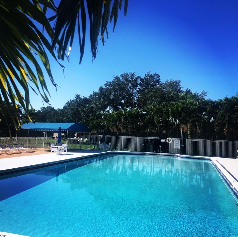 519 Shady Pine Way A2