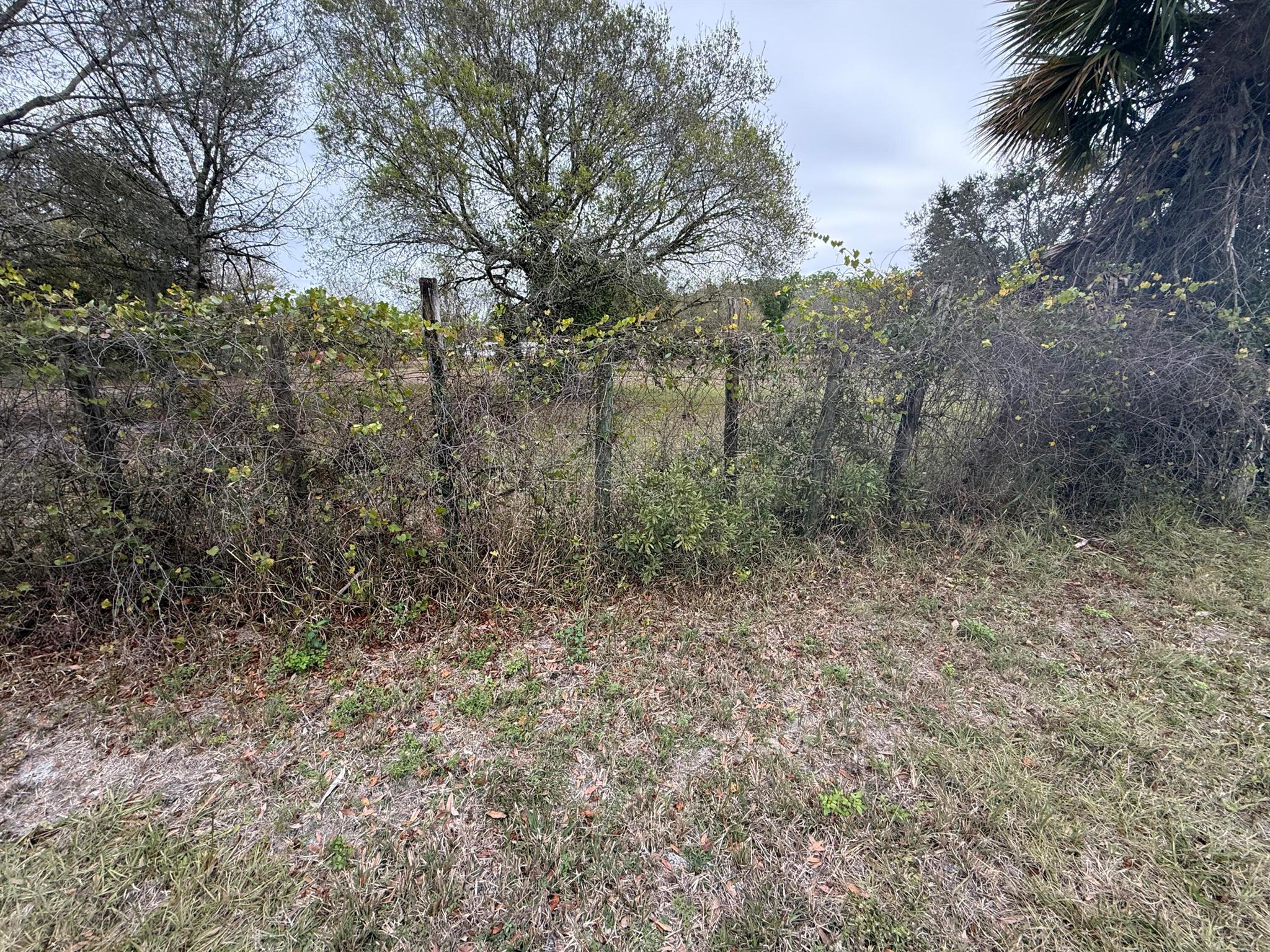 MONTURA RANCH UNREC SEC 3 - Land