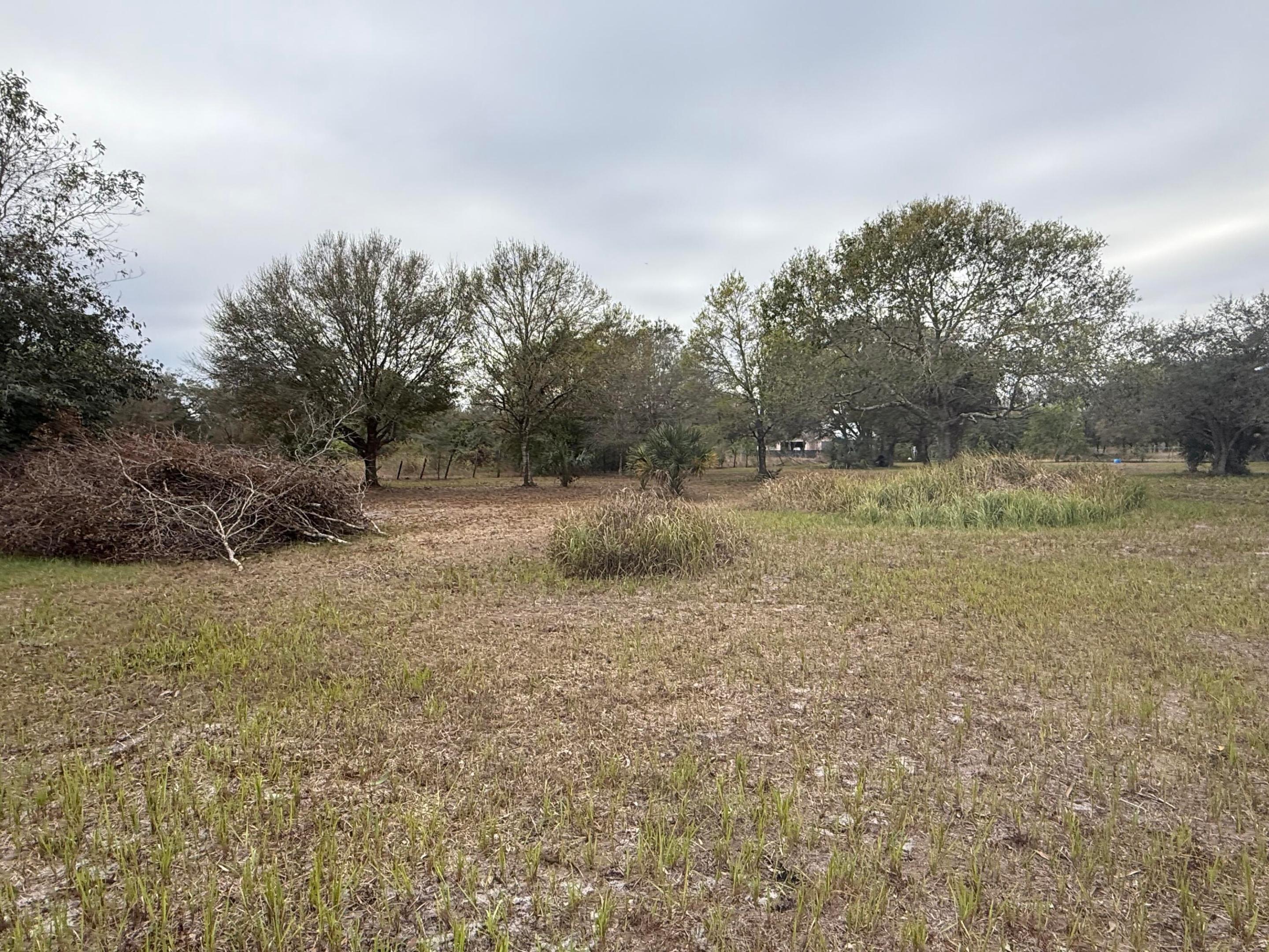 MONTURA RANCH UNREC SEC 31 - Land
