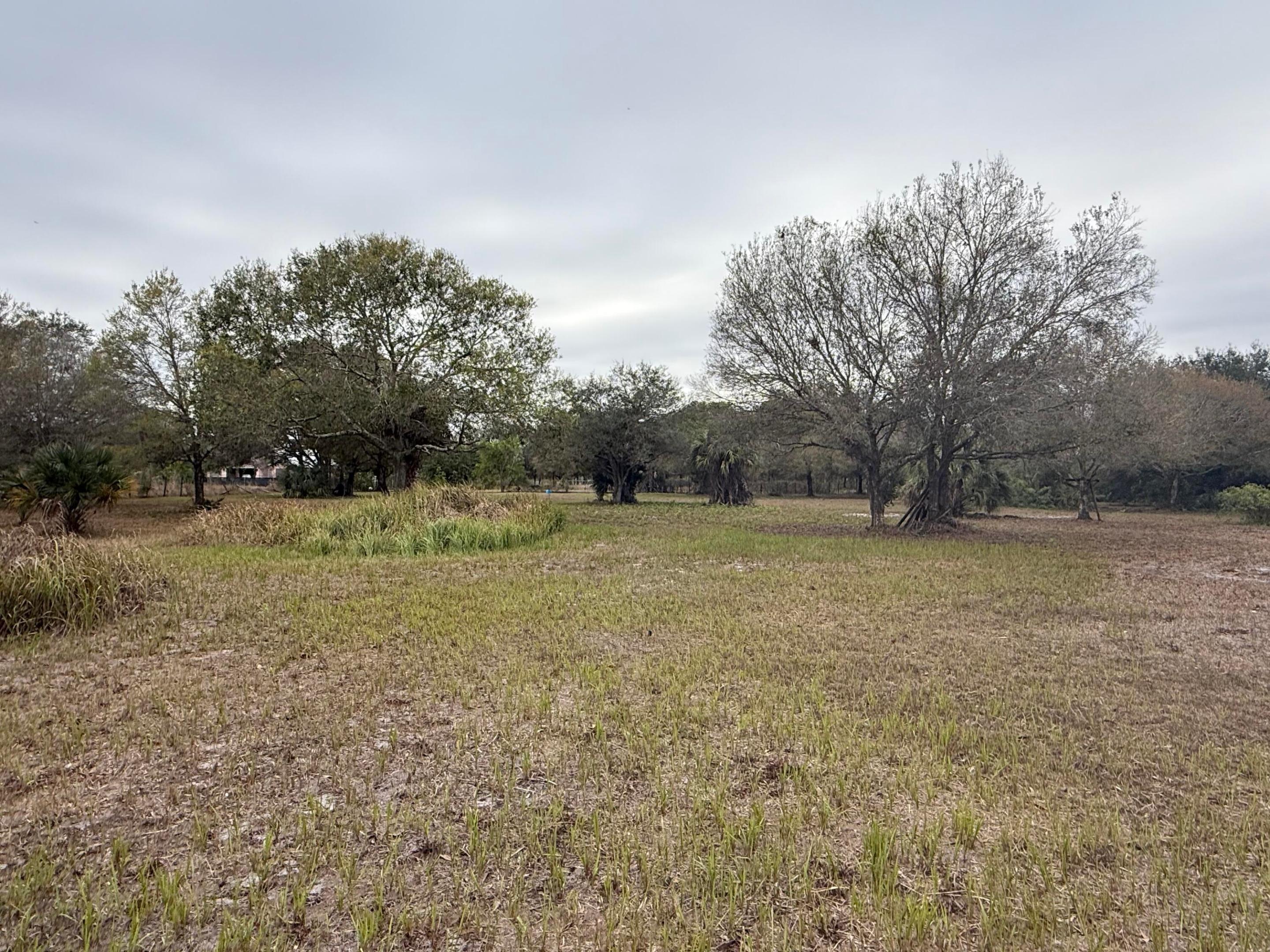 MONTURA RANCH UNREC SEC 31 - Land