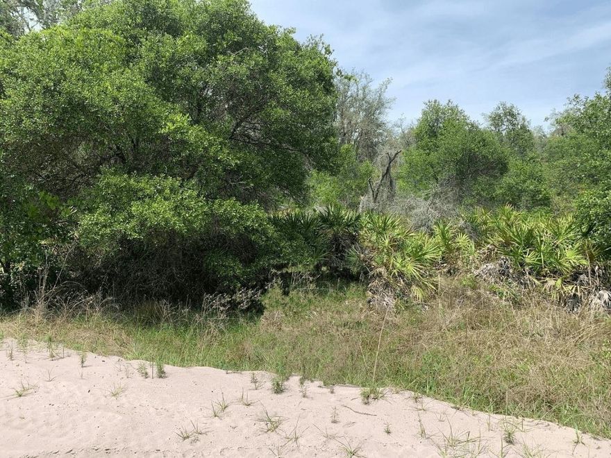 Looking for a place to ride 4 wheelers? You’ve found it! Purchase this 1+ acre property and gain access to miles of trails surrounding it.Owner financing available