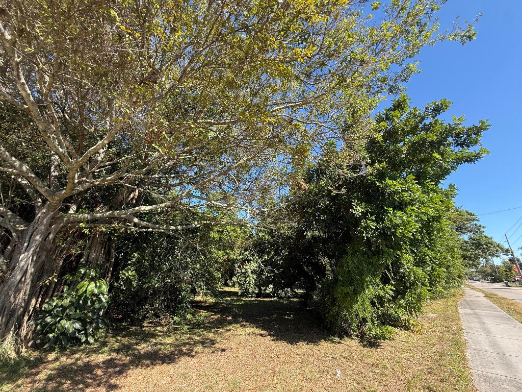 30000 Market Area 3 Acreage - Land