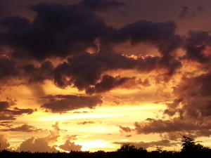 DIAMOND LAKE SUB PHASE ONE - Residential Lease