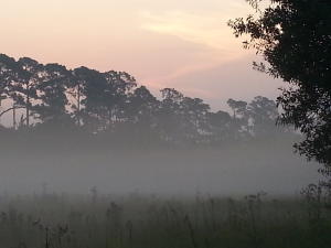 DIAMOND LAKE SUB PHASE ONE - Residential Lease