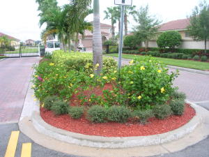 DIAMOND LAKE SUB PHASE ONE - Residential Lease