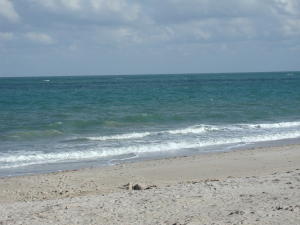 DIAMOND LAKE SUB PHASE ONE - Residential Lease