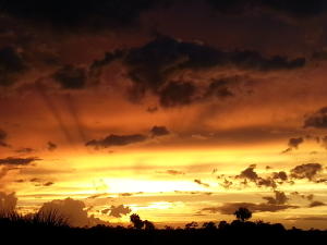 DIAMOND LAKE SUB PHASE ONE - Residential Lease