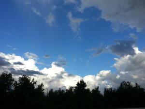 DIAMOND LAKE SUB PHASE ONE - Residential Lease