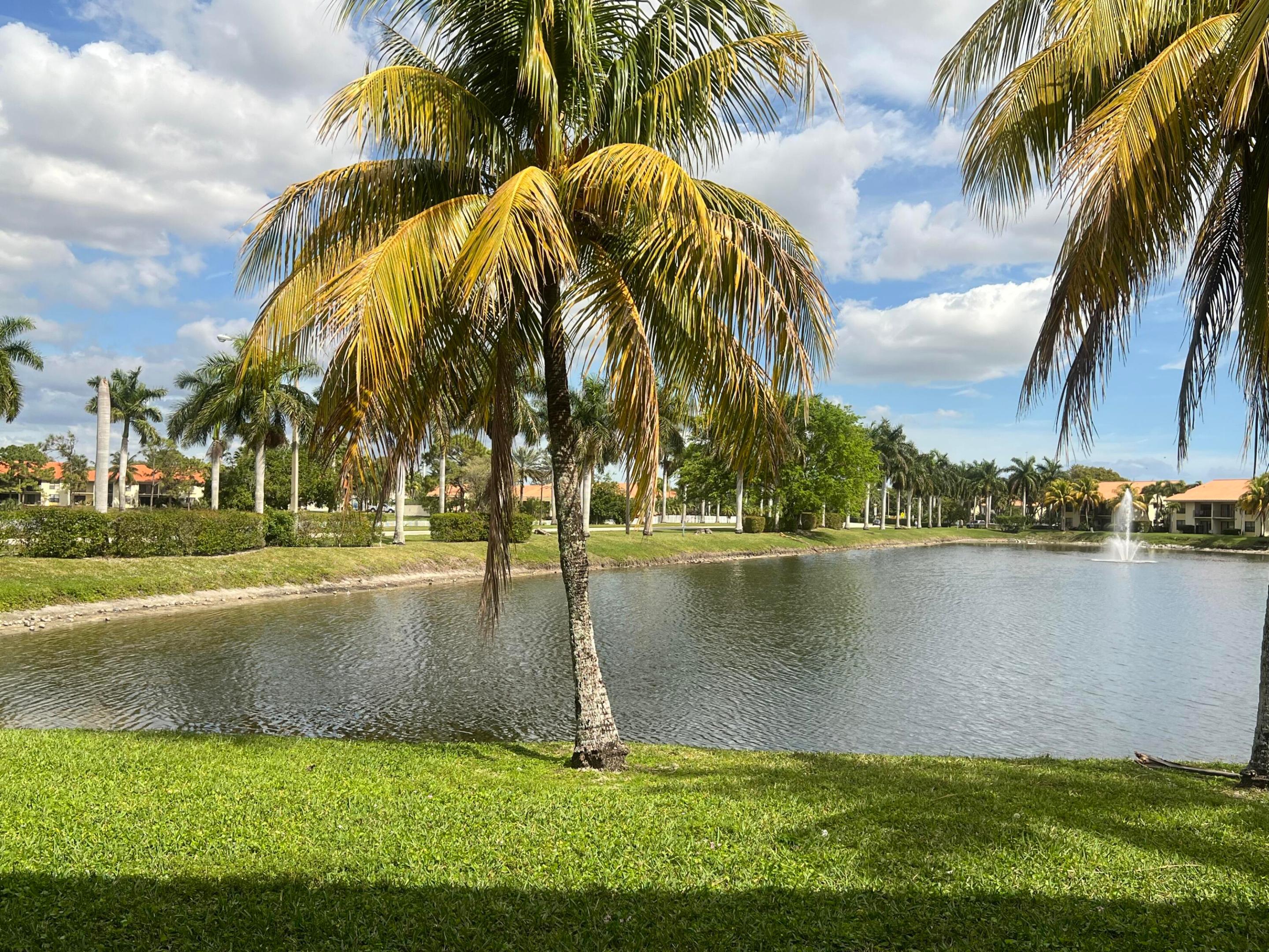 PALM BEACH GRANDE CONDO - Residential Lease