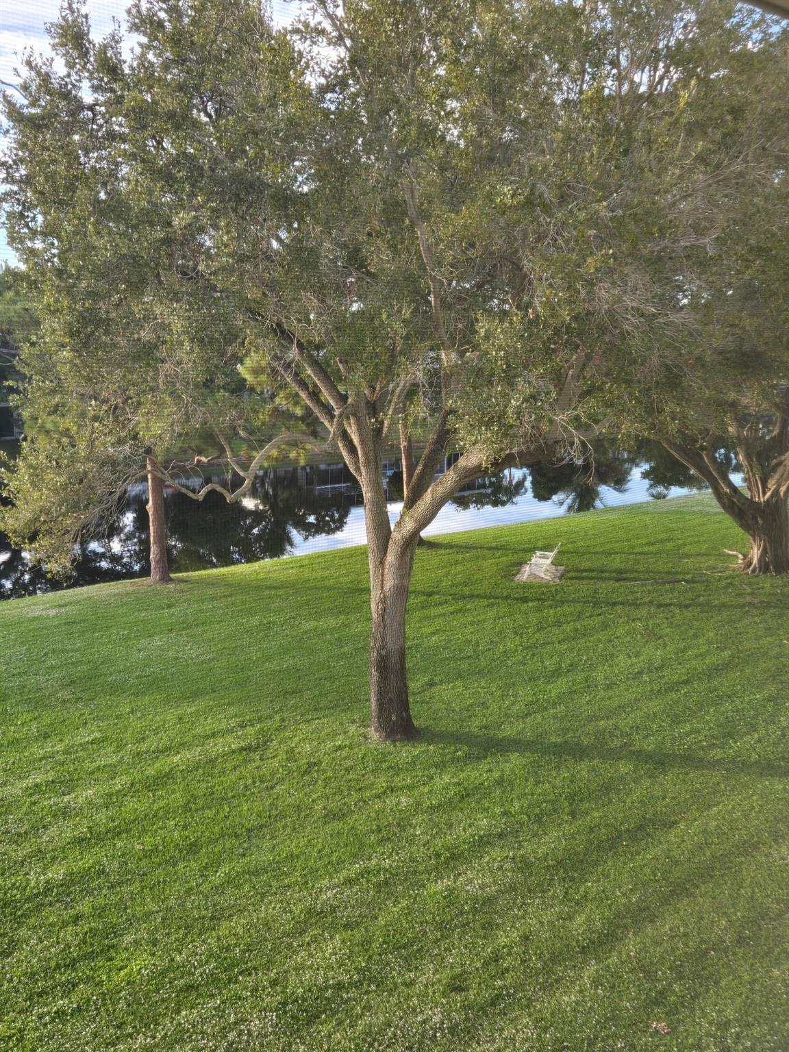 Century Village - Residential