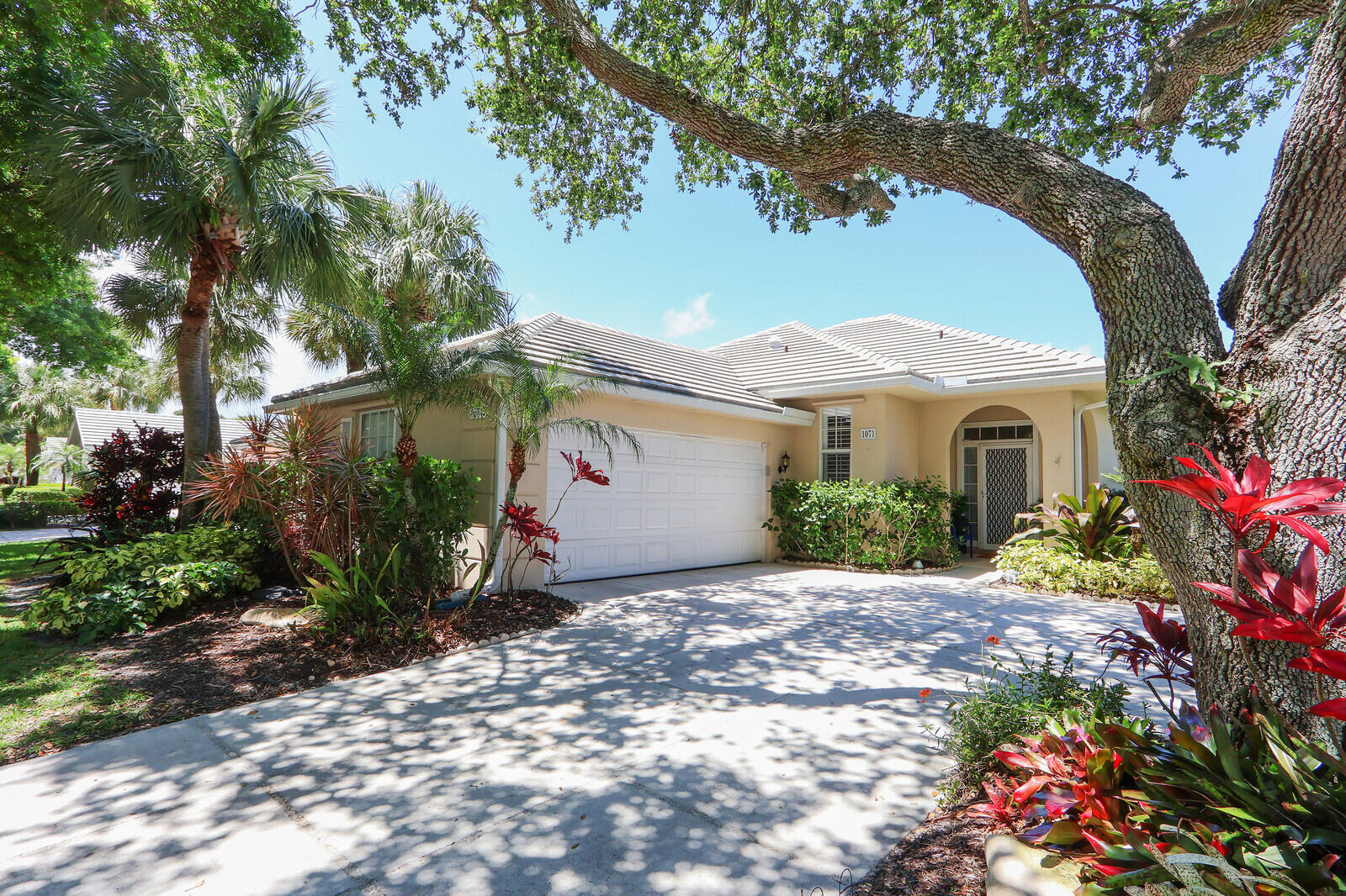 LAKE CATHERINE - Residential