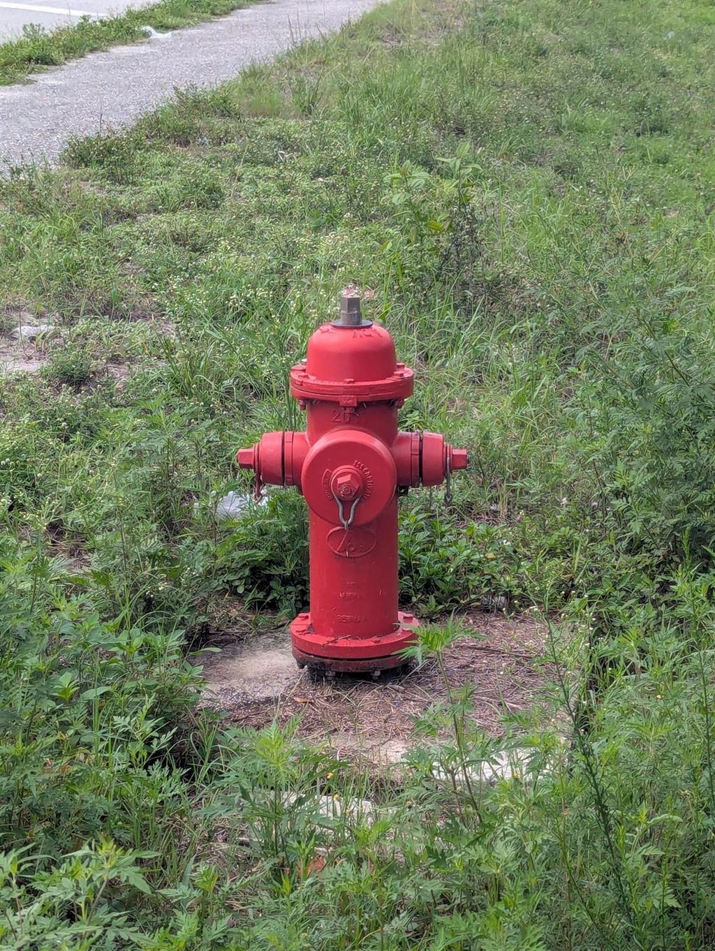 Photo of 108 W Hialeah Drive, Loxahatchee, FL 33470 (MLS # R11097180)