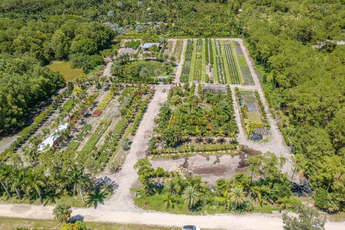 Caloosa/Wind In The Pines Next To Caloosa - Land