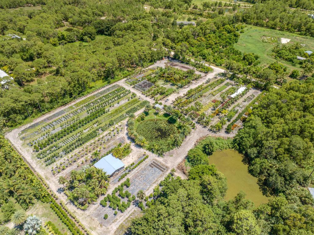 Caloosa/Wind In The Pines Next To Caloosa - Land