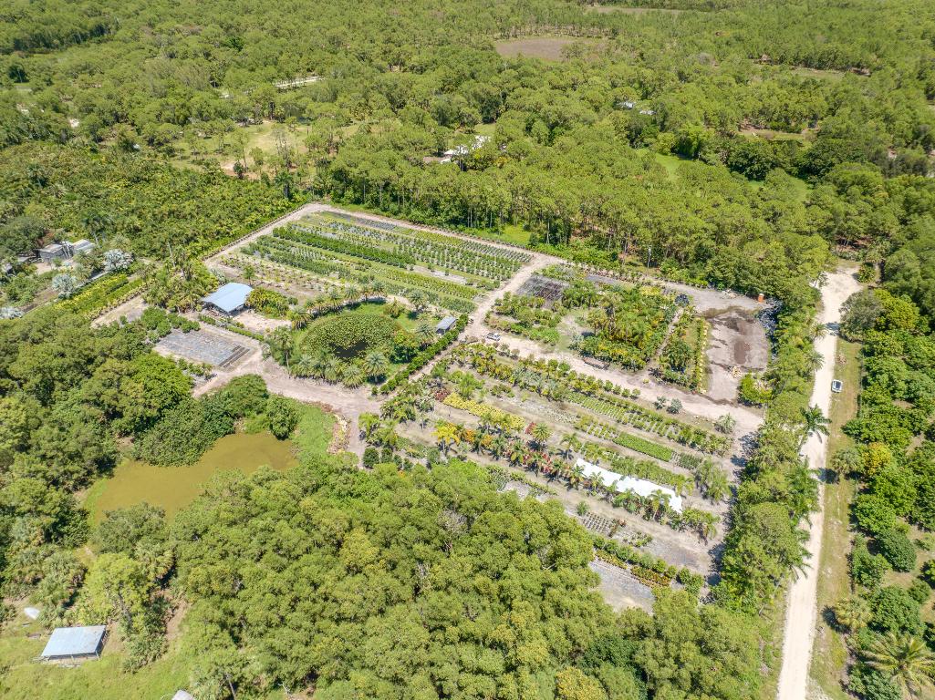 Caloosa/Wind In The Pines Next To Caloosa - Land