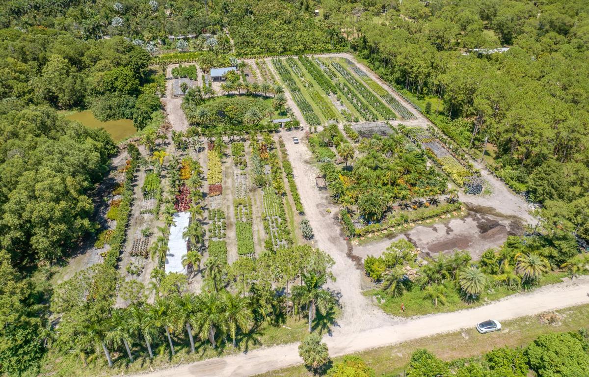 Caloosa/Wind In The Pines Next To Caloosa - Land