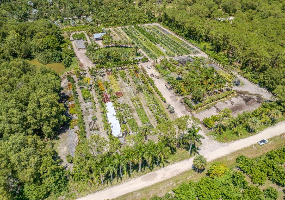 Caloosa/Wind In The Pines Next To Caloosa - Land