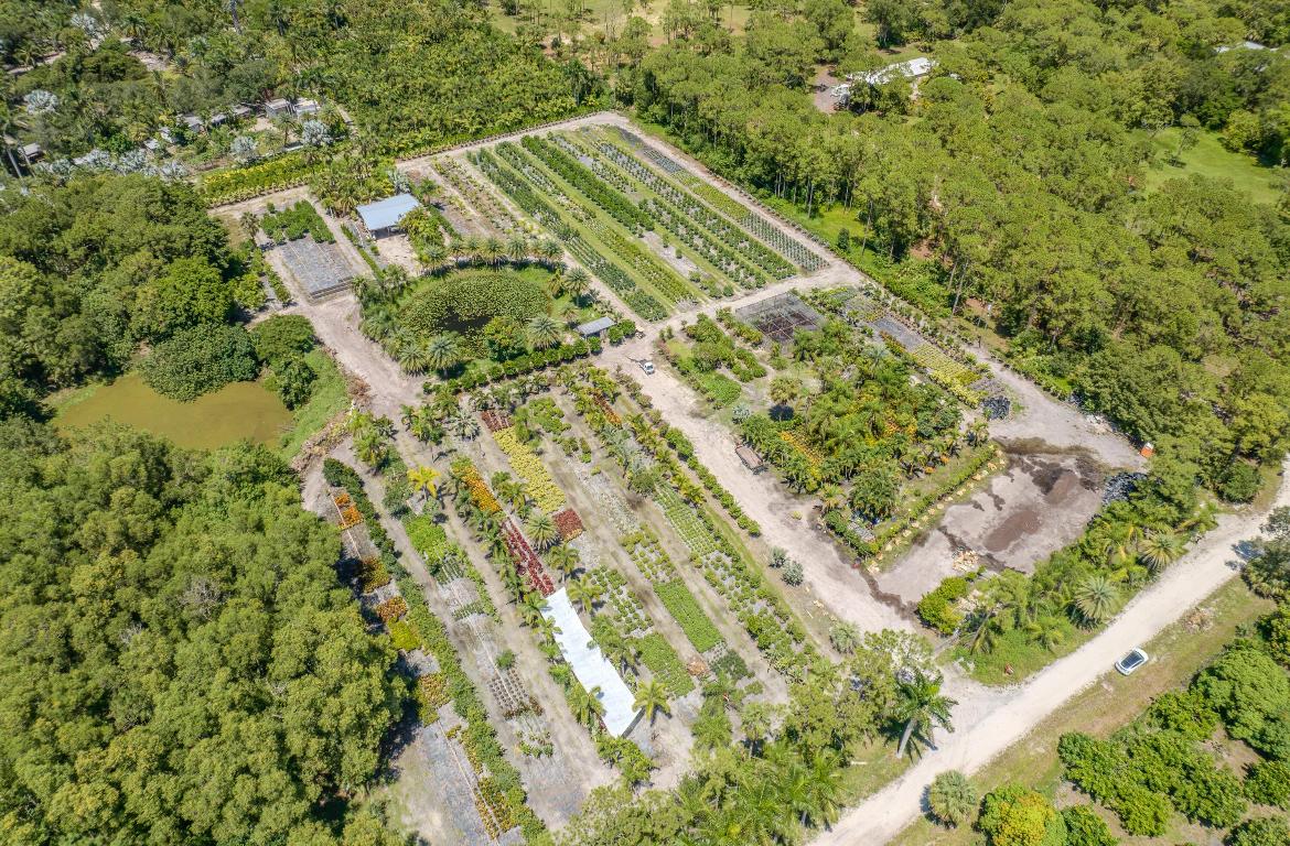 Caloosa/Wind In The Pines Next To Caloosa - Land