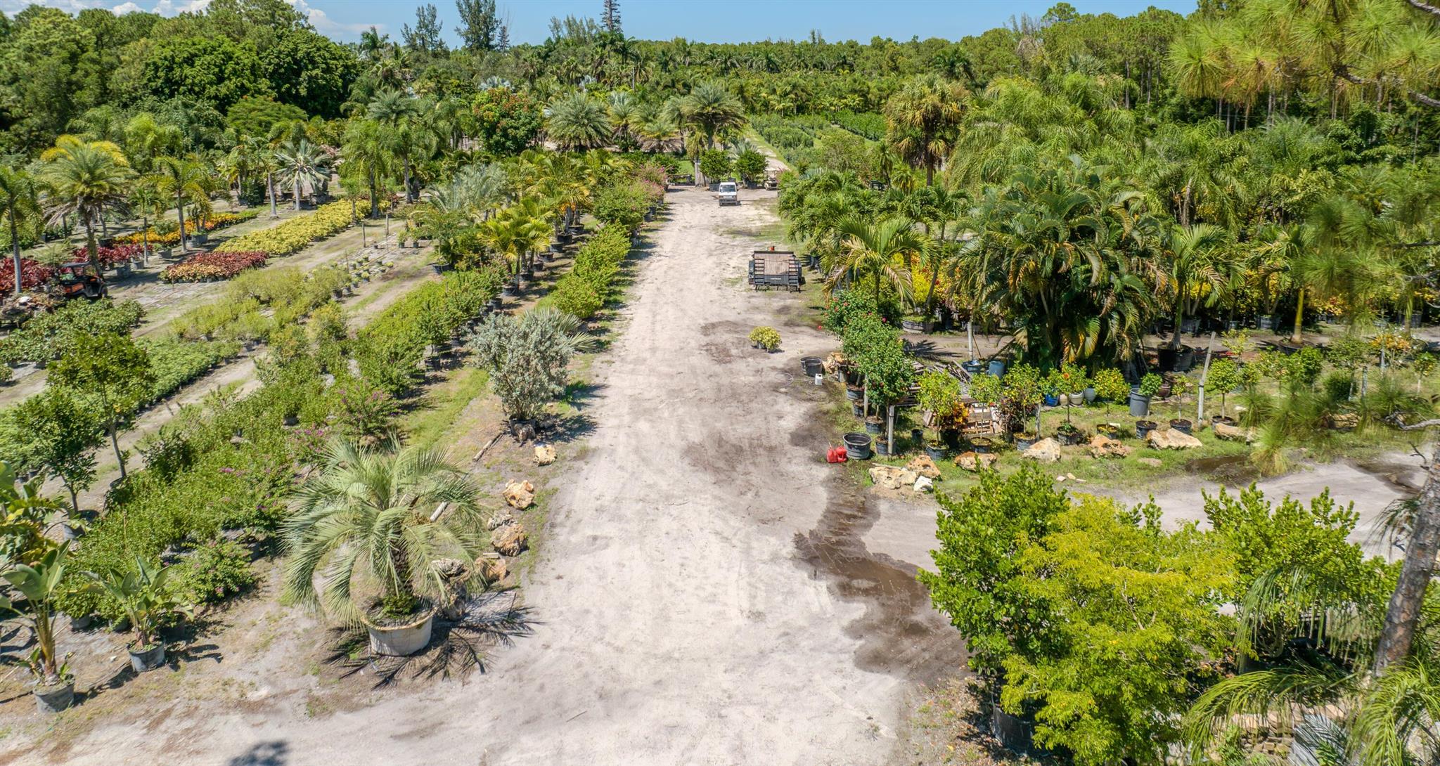 Caloosa/Wind In The Pines - Land