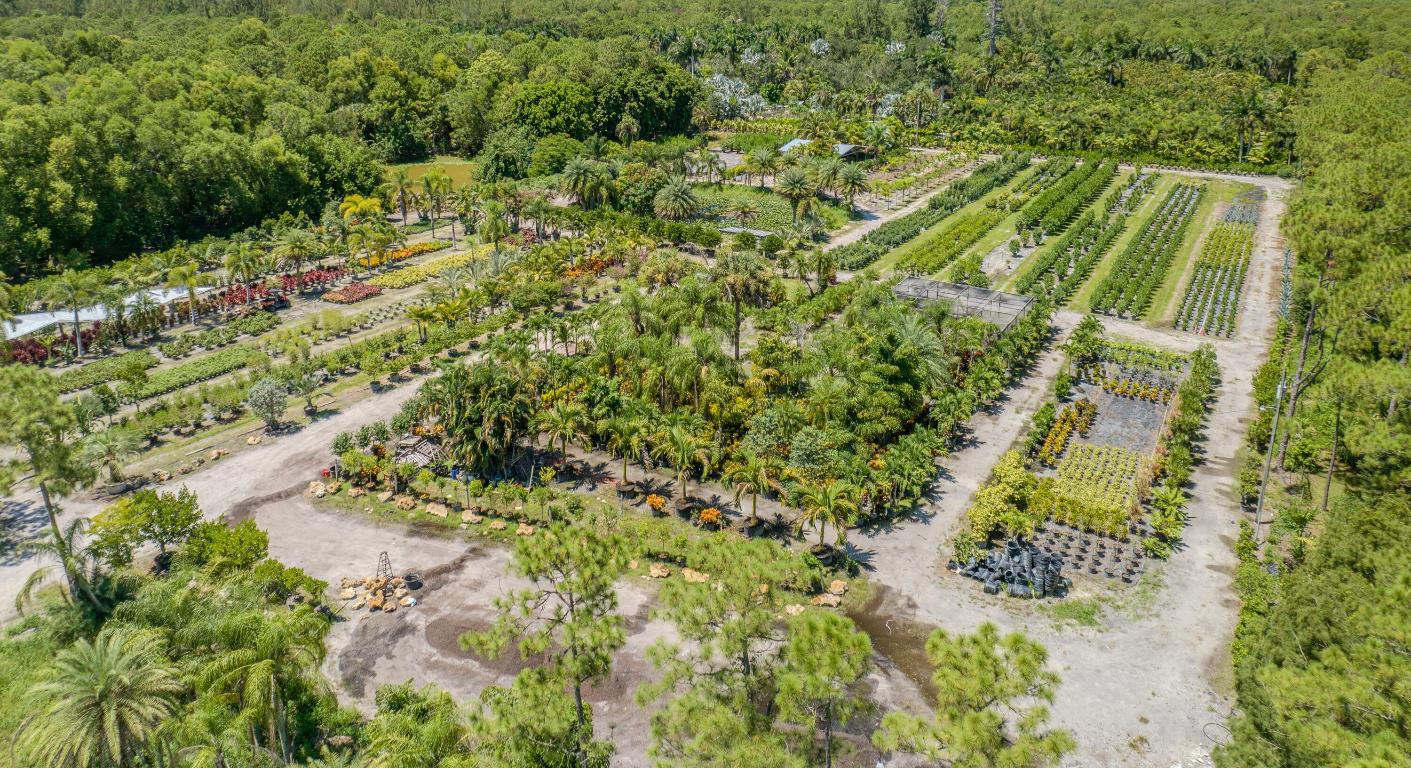 Caloosa/Wind In The Pines Next To Caloosa - Land