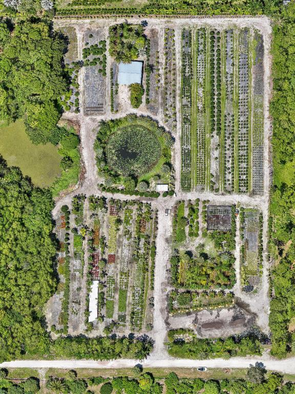 Caloosa/Wind In The Pines Next To Caloosa - Land