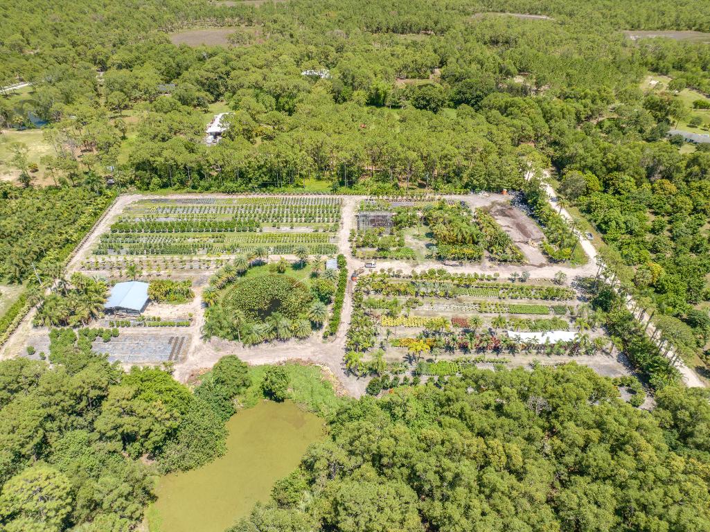 Caloosa/Wind In The Pines Next To Caloosa - Land