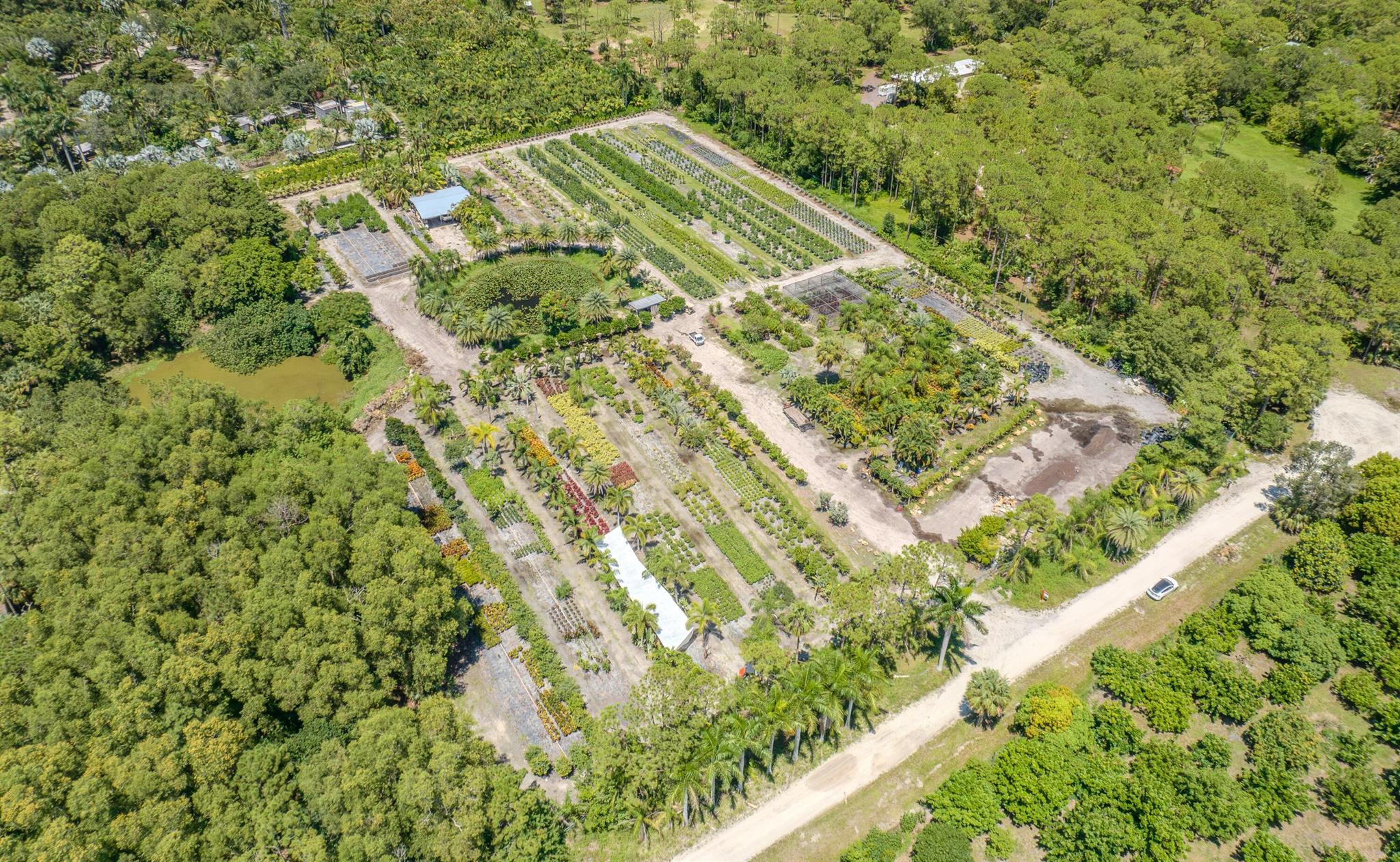 Caloosa/Wind In The Pines - Land