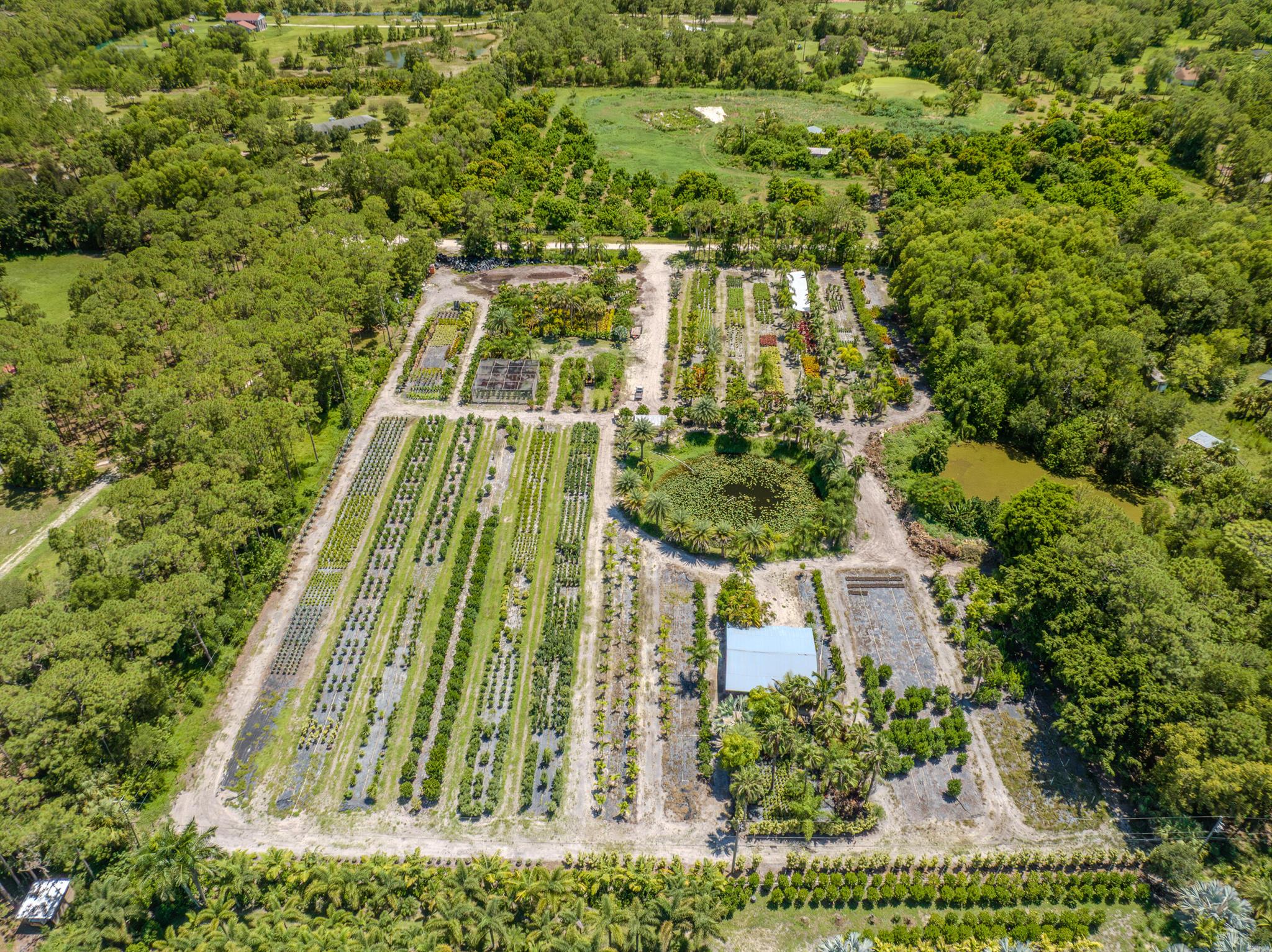 5.28 Acre Cleared Parcel Of Land That Is Currently Being Run As A Nursery. Perfect And Ready To Build Your Dream Home! Property Is Gated, Fenced, Irrigated, Well, Septic And Electric. Property Is Zoned Agricultural/Residential, Community Is Located Off PGA Blvd In Unincorporated Palm Beach County. Wind In The Pines Is Truly A Hidden Gem! No HOA! Access To Miles Of Horse Trails, Minutes To I-95, Turnpike, PBI And WEF Home of The Winter Equestrian Festival! A Perfect Opportunity To Finally Enjoy The Benefits Of Living Just Outside Of The City Limits! So Much To Offer Come See For Yourself! You Will Not Believe That You Are Still In PBC! Peaceful, Private Estate Living!