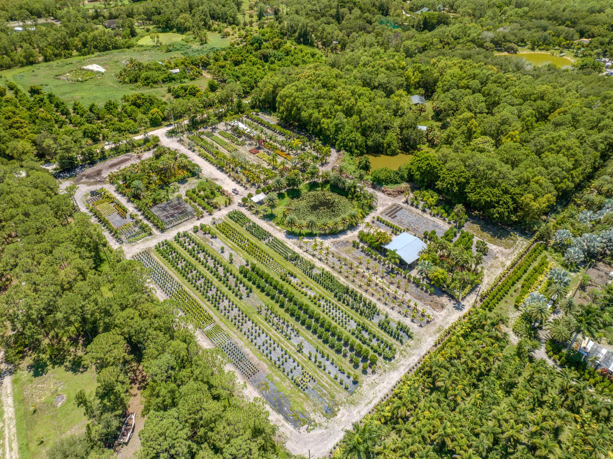 Caloosa/Wind In The Pines - Land