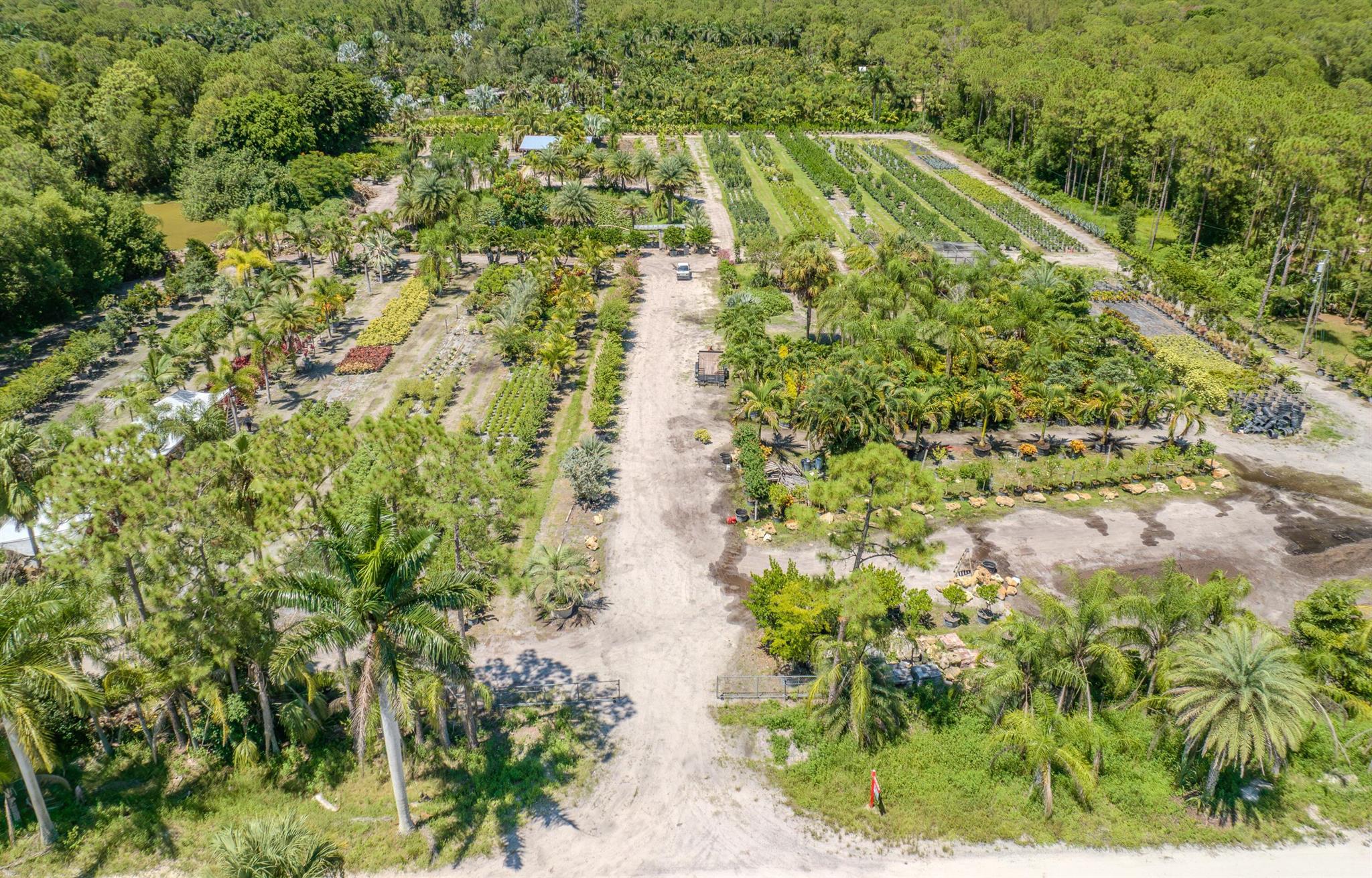 Caloosa/Wind In The Pines - Land