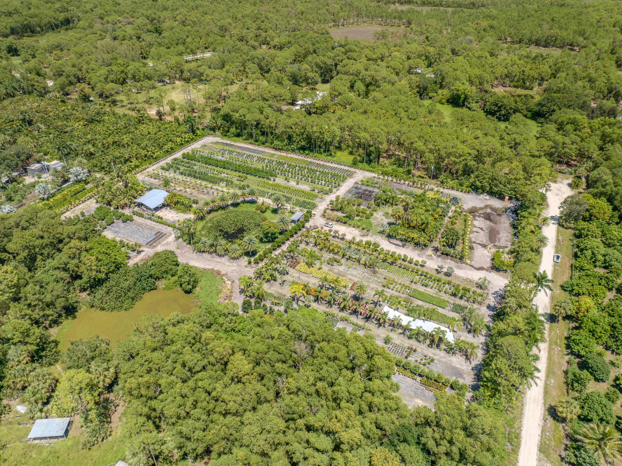 Caloosa/Wind In The Pines - Land