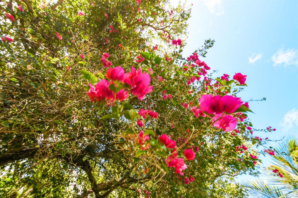 BAHIA SOUND - Residential