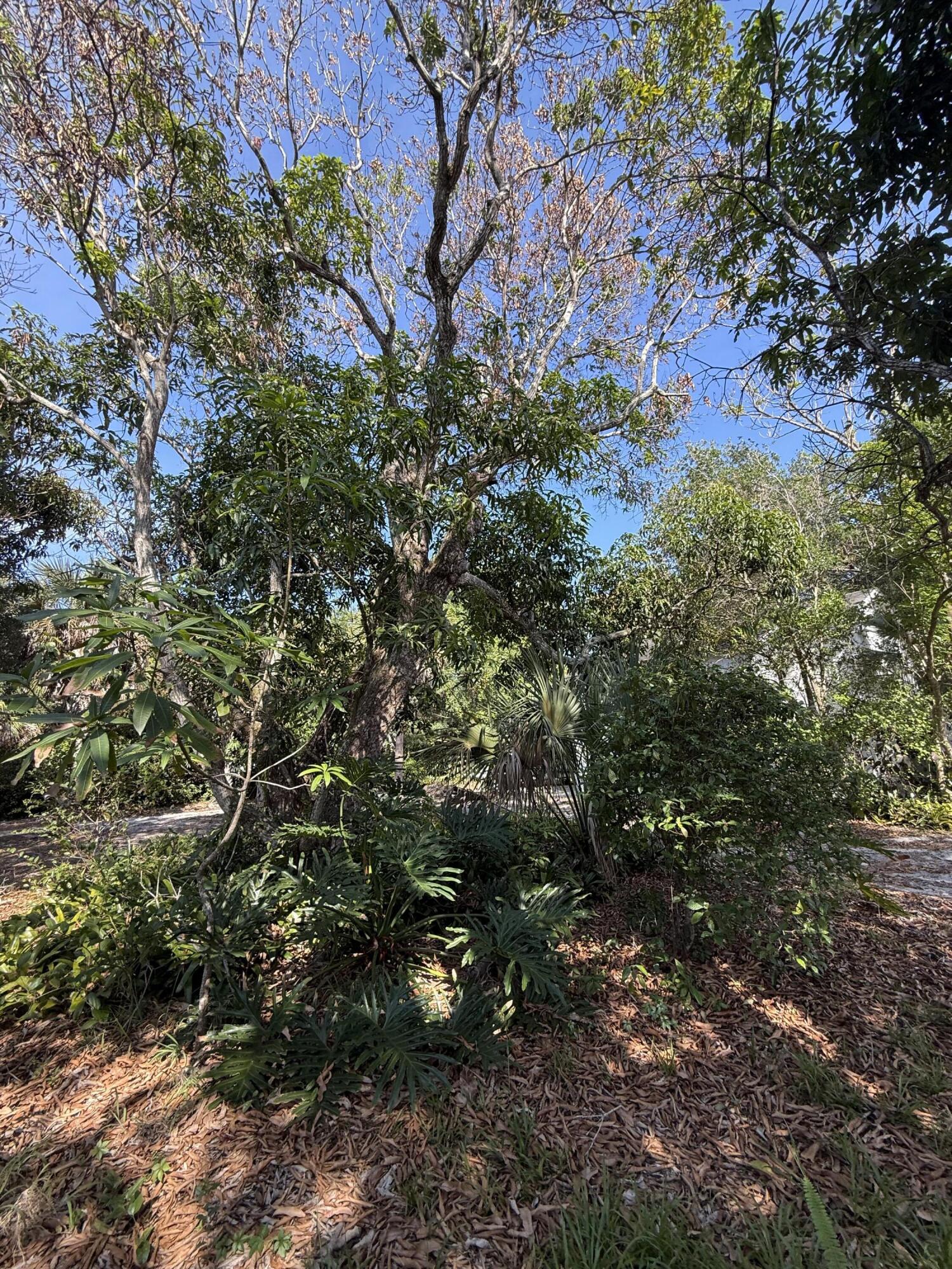 PORT SEWALL (AKA SEWALL'S POINT LAND CO) - Residential