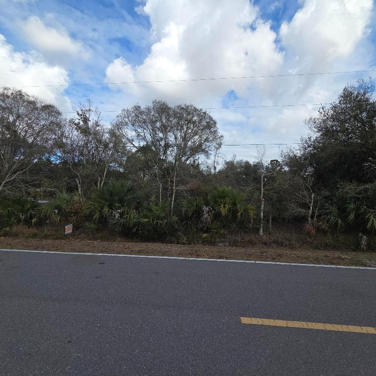 Okeechobee Little Farms - Land