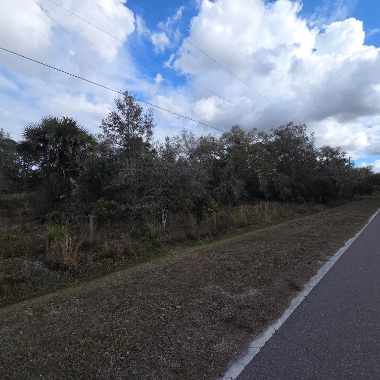 Okeechobee Little Farms - Land
