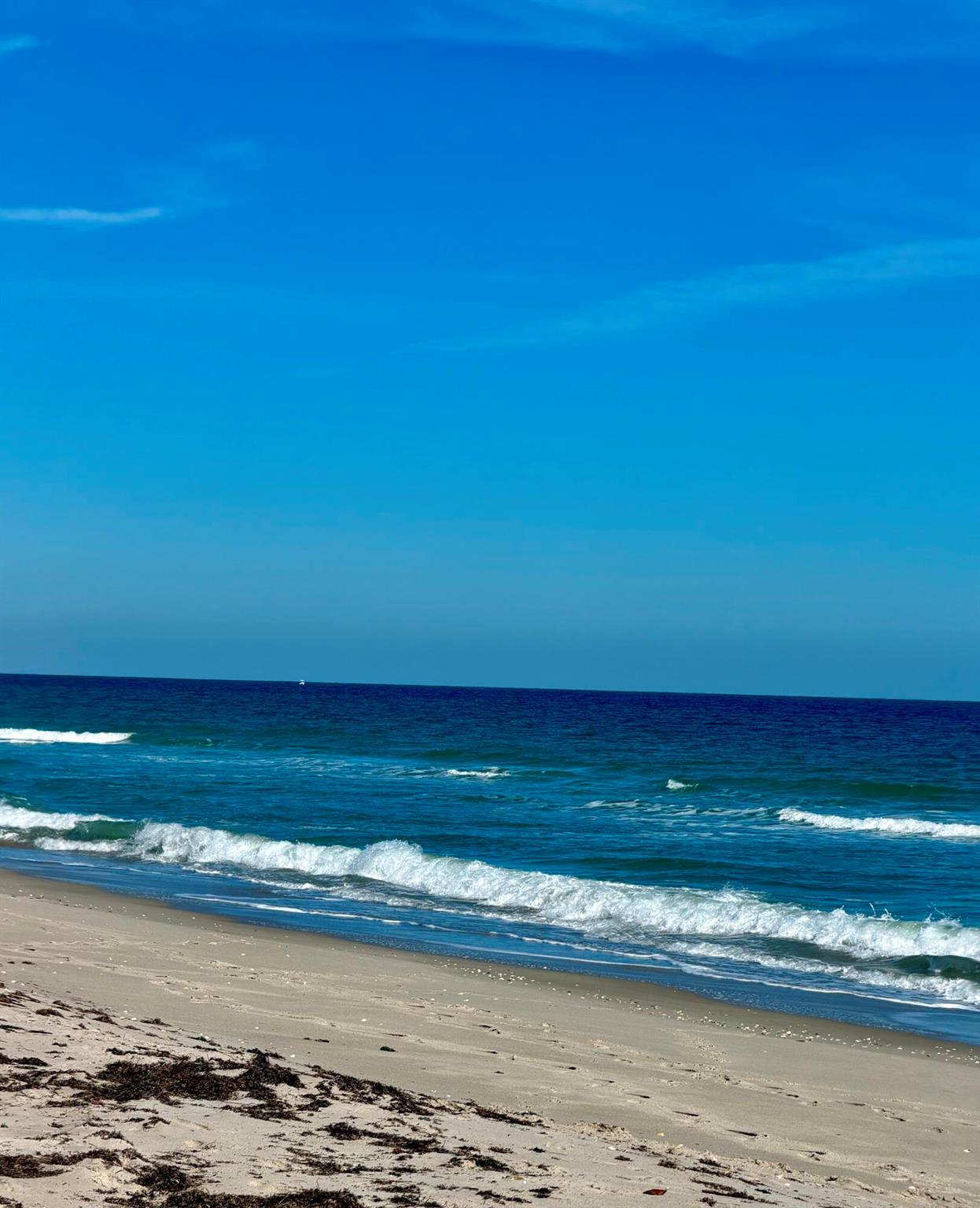 OCEAN HARBOUR VILLAS COND - Residential