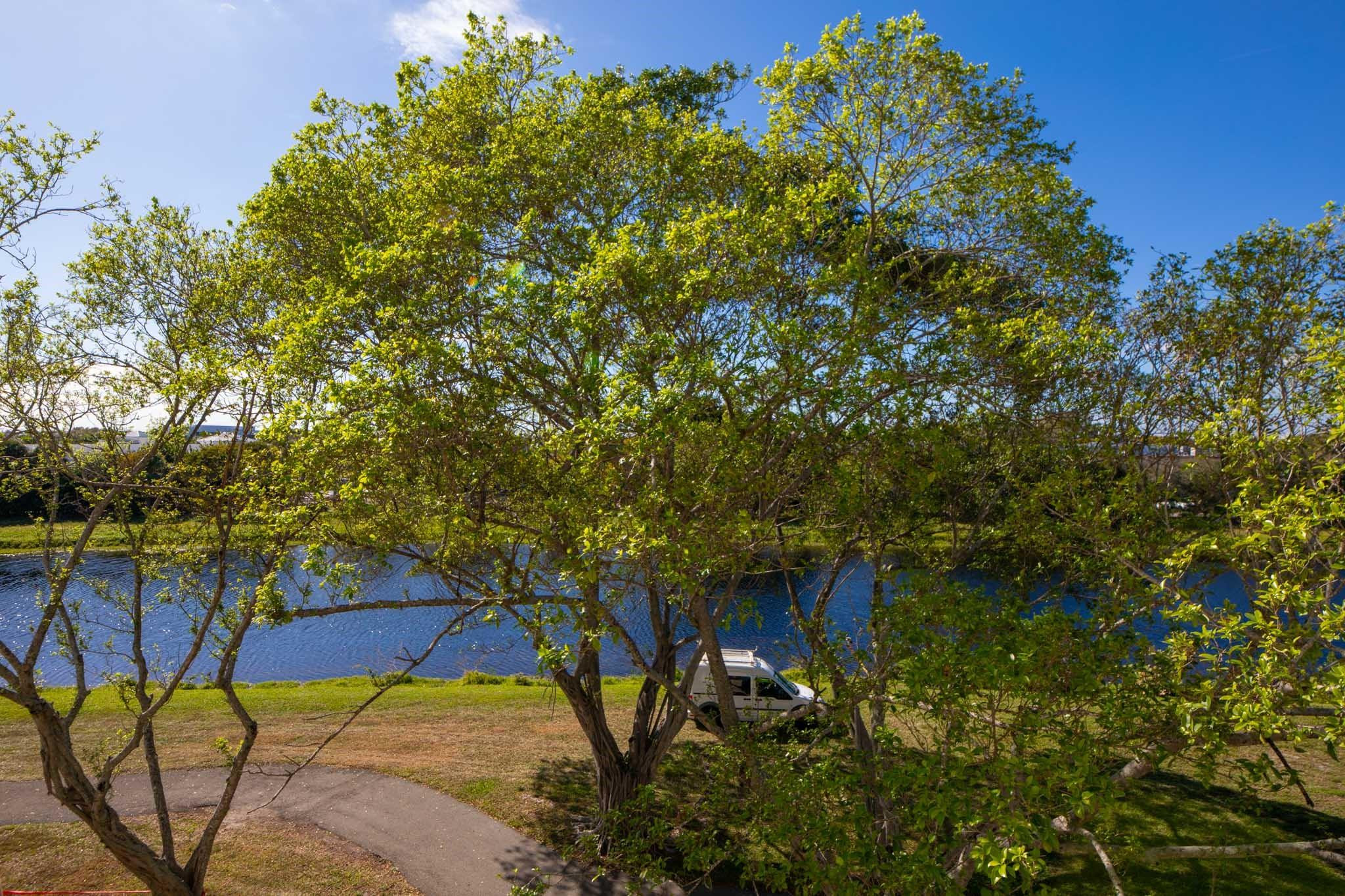 Cypress Bend - Residential Lease