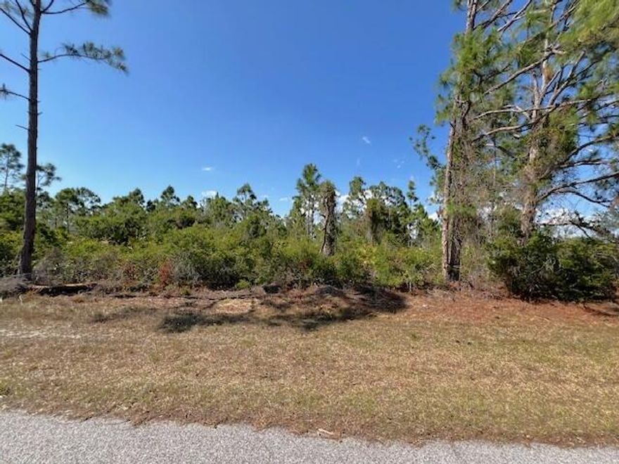 This Port Charlotte lot is now available for your Florida dream home. Enjoy the convenience of nearby amenities, including world-class fishing, golf, and  boating opportunities. Buy and build or hold for investment.