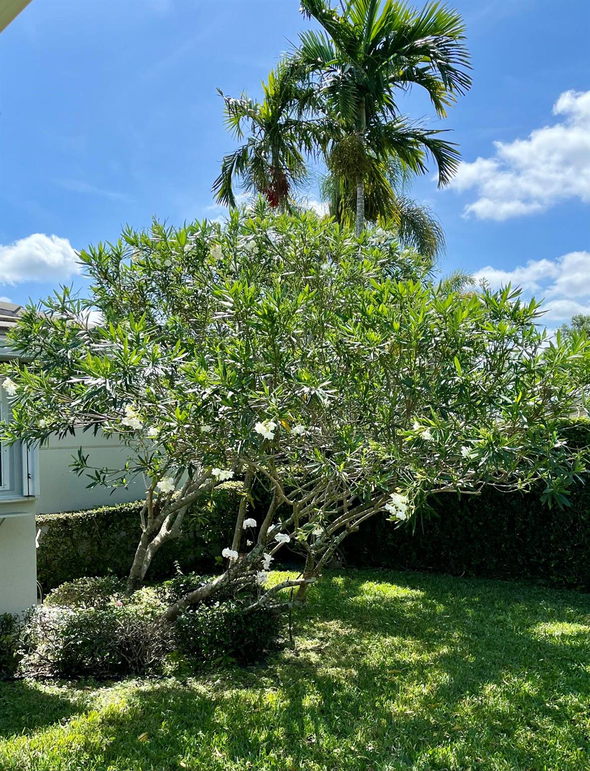 GARDEN OAKS - Residential