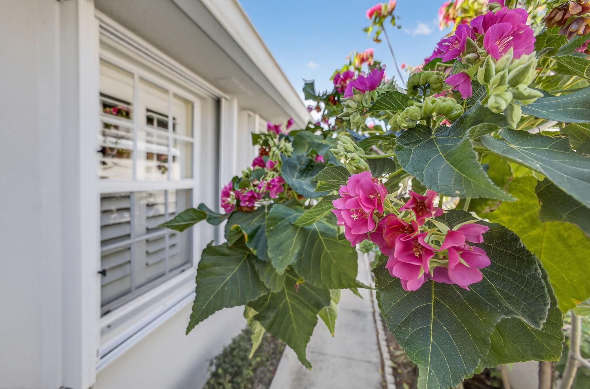 GARDEN OAKS - Residential