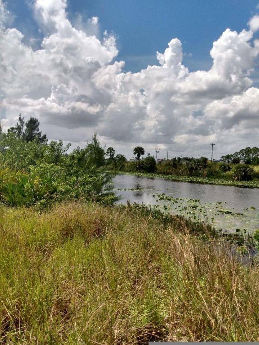 Don't miss this opportunity to watch nature go by on the beautiful Gator Slouth Canal. B3st price on the main canal.