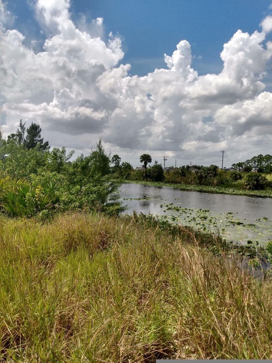 Don't miss this opportunity to watch nature go by on the beautiful Gator Slouth Canal. B3st price on the main canal.