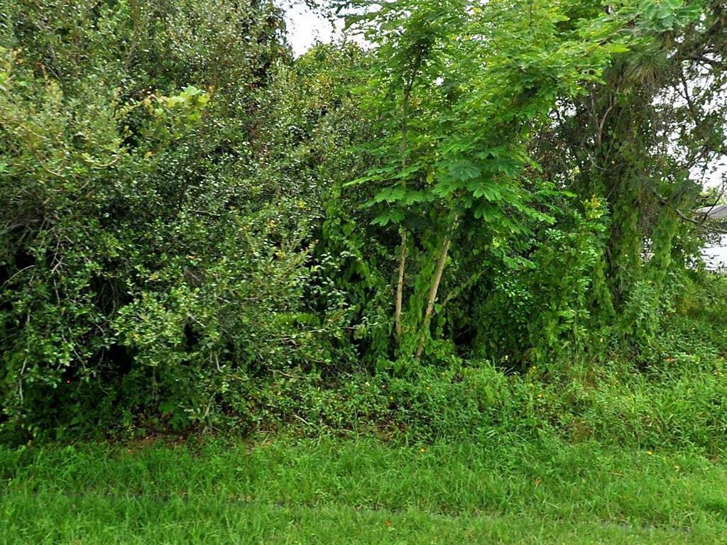 NICE BUILDING LOT NEAR ST LUCIE WEST.NICE STREET ... WATER AND SEWER IN STREET READY FOR HOOKUP