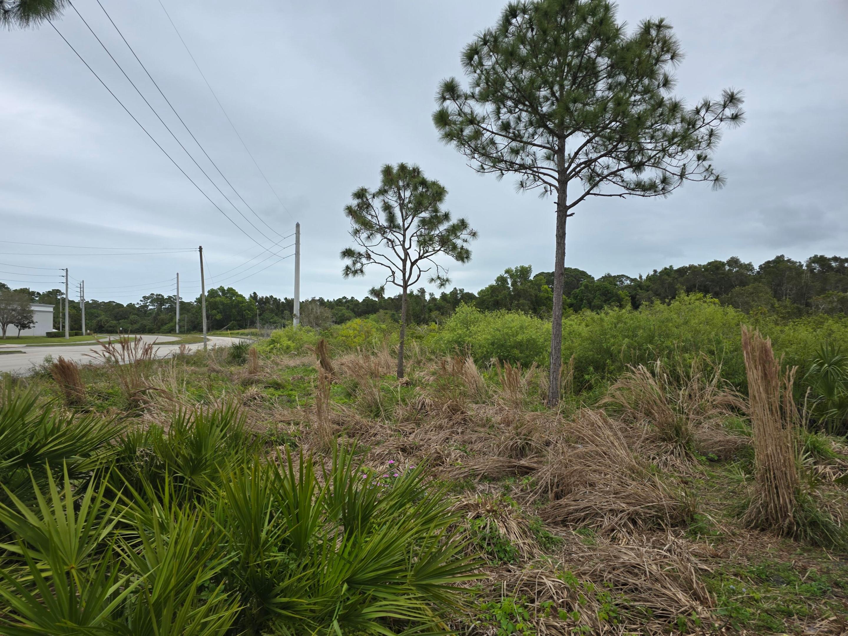 PRIMA VISTA NUMBER ONE - Land