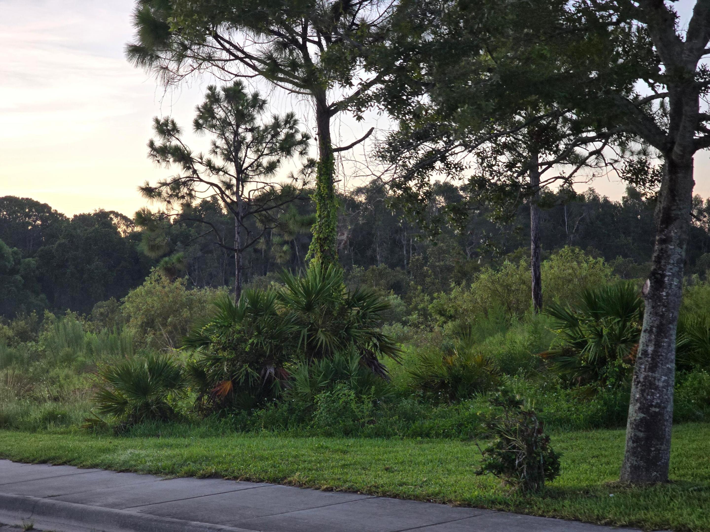 PRIMA VISTA NUMBER ONE - Land