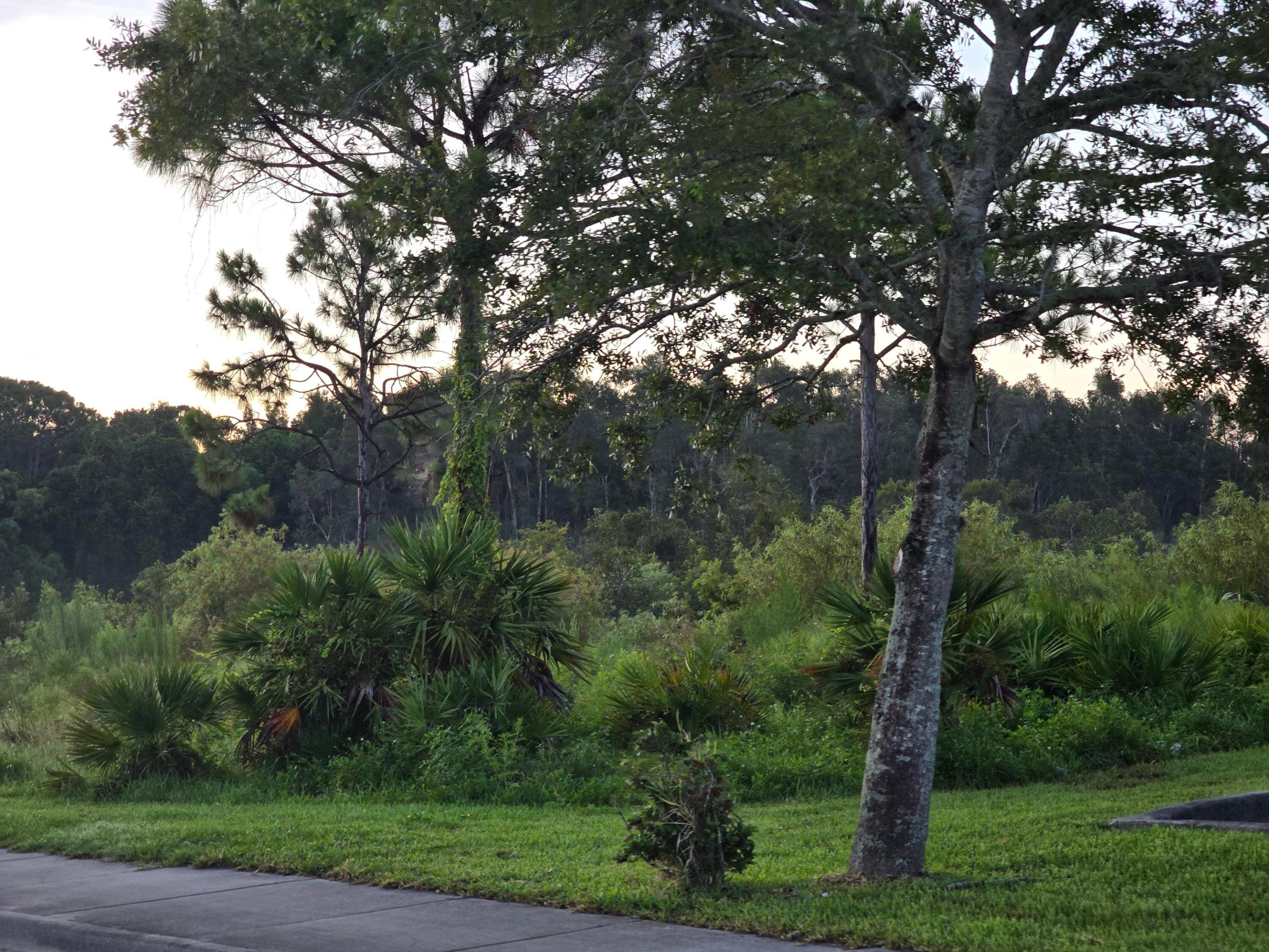 PRIMA VISTA NUMBER ONE - Land